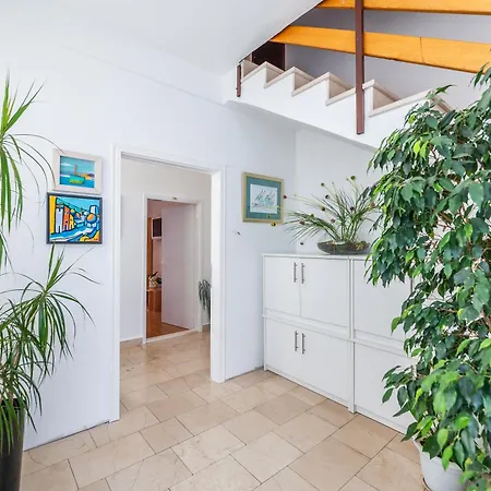 Sokol Apartment